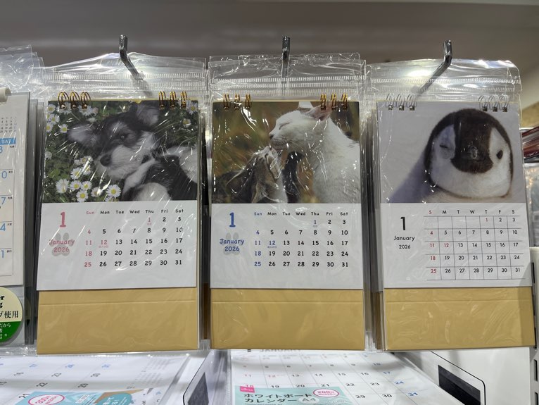 ダイソーの店内